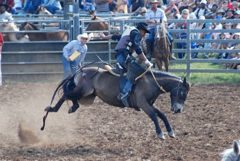 33- Rodeo.JPG